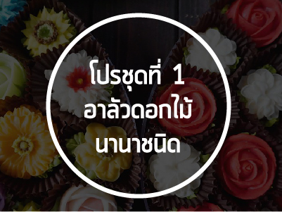 โปรชุดที่ 1 อาลัวดอกไม้นานาชนิด