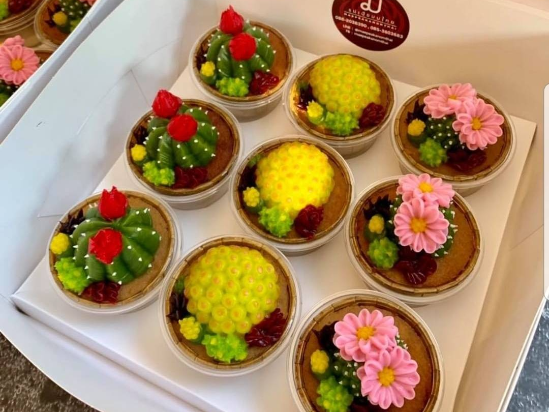 คัพหม้อแกงเผือกแต่งหน้าอาลัวตะบองเพชร เลเวล2 ขั้นเทพ